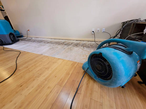 Professional Water Damage Repair technician working in Lafayette Hill, PA